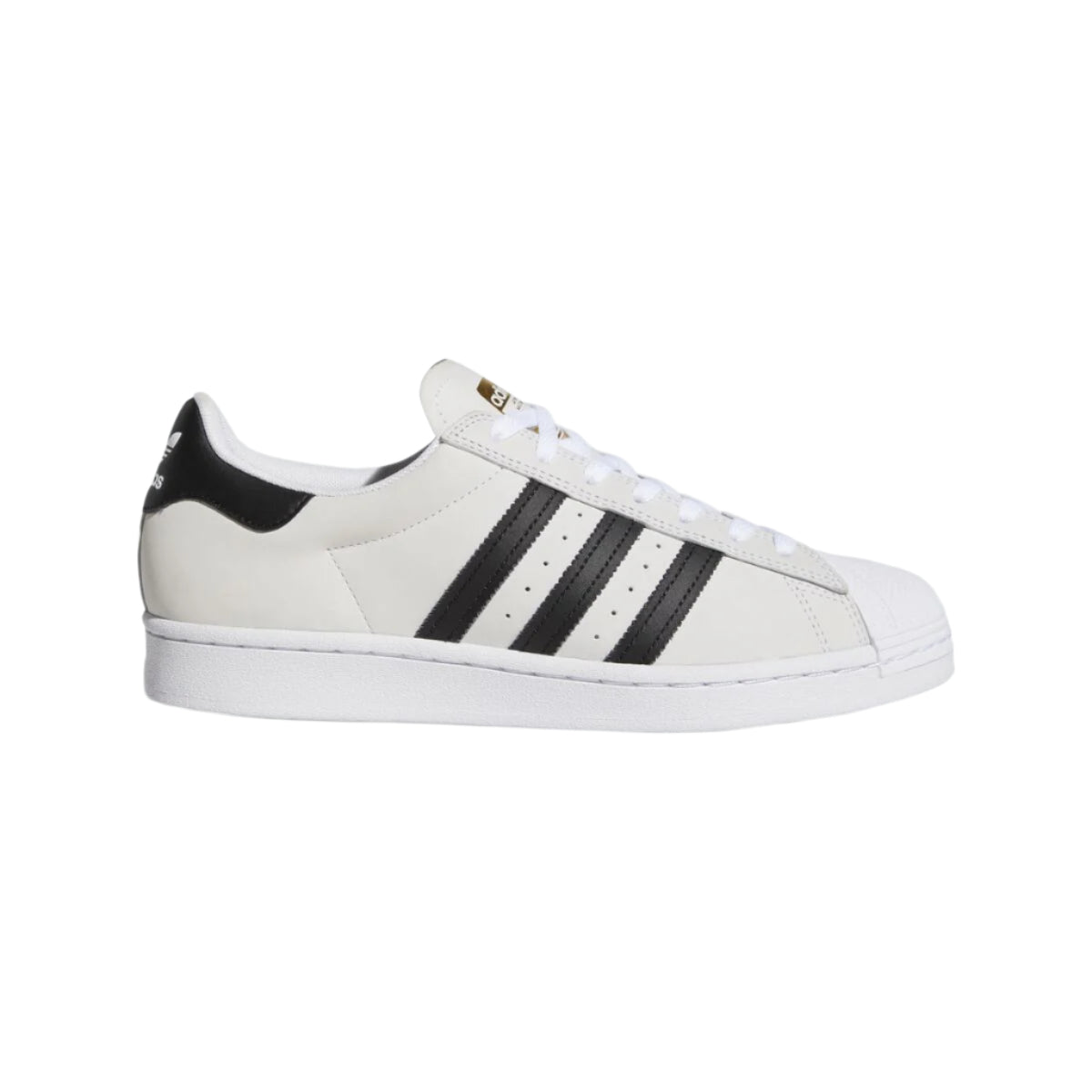 Adidas Superstar ADV -ikoni valkoisena ja mustana nahkaisena skeittikenkinä, kultainen logo.