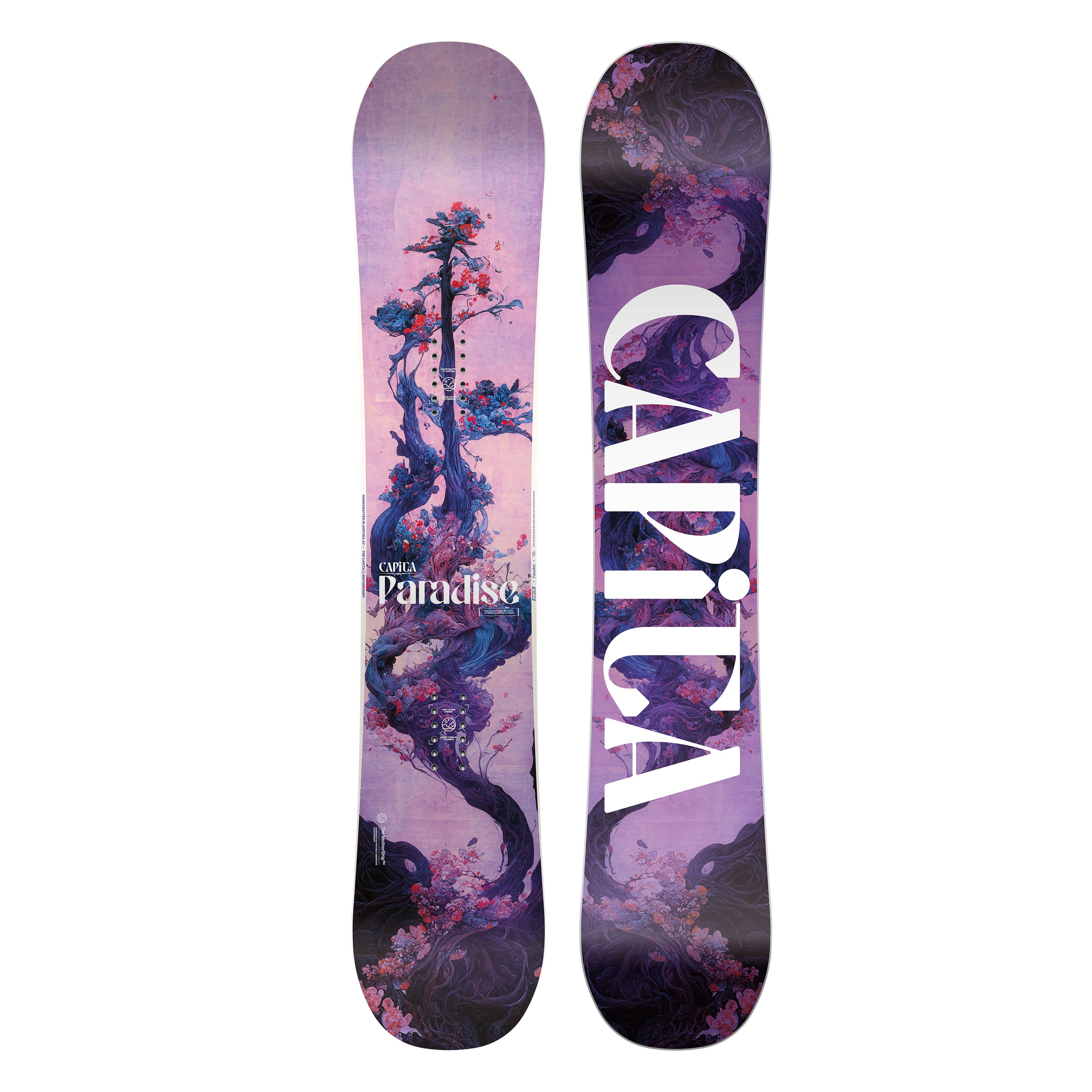 PARADISE 24/25 snowboard, hybrid camber, intermediate freeride, directional twin.